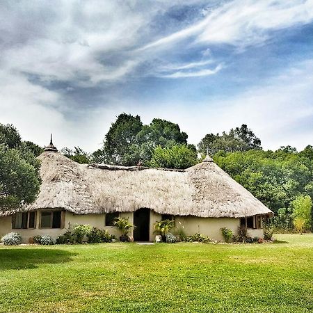 Gasthaus House In The Wild Maasai Mara Exterior foto