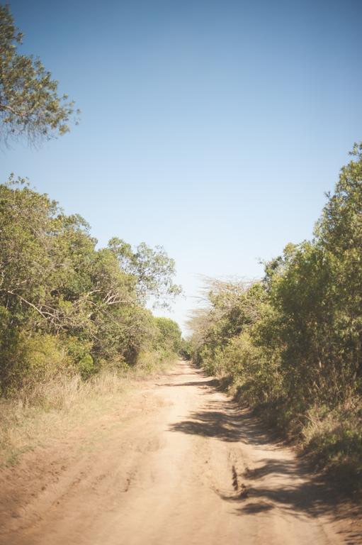 Gasthaus House In The Wild Maasai Mara Exterior foto